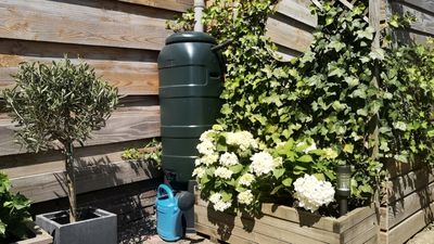 Rain barrel mistakes – 4 common errors, and expert methods to help you fix them