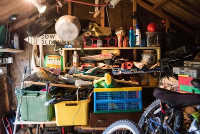 The best ways to declutter your garden shed for New Year