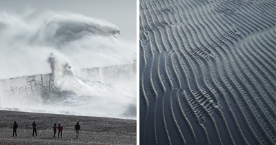 40 Photos Of Ocean Waves That Capture Dynamic Movement In A Single Shot By Rachael Talibart