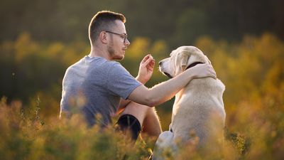 Try these four expert-approved treat-delivery methods to keep your dog motivated