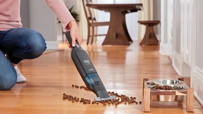 Black+Decker 12V MAX Dustbuster Handheld Vacuum review – a slim hand vacuum that's as powerful as it looks