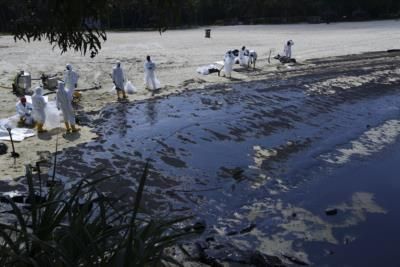 Volunteers Appeal For More Assistance In Russia's Black Sea Oil Spill