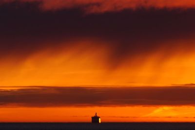 'Green Christmas' to be mild and dry with no snow or frost expected – Met Office