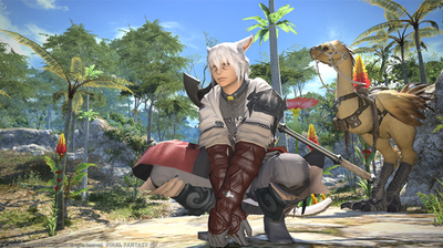 'Final Fantasy XIV' Guide: How To Start Nitowikwe Custom Deliveries