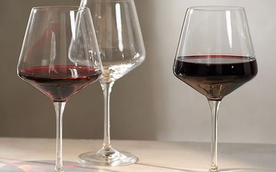 Best large wine glasses that will look elegant when entertaining guests