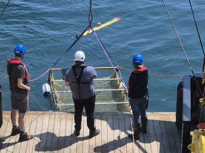 Revealing the secrets of Britain’s lost world: Archaeologists discover Stone Age artefacts under North Sea