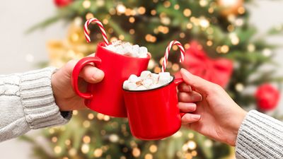 Make the most of your espresso machine this holiday season with these 3 festive coffee ideas