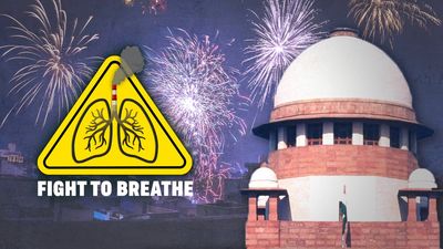 Kid gloves for Delhi’s firecracker ban? Many FIRs point to ‘no seizure, unidentified suspects’