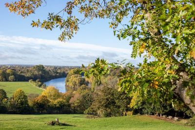 11 charming London walks you might have missed: from Brockley to Richmond