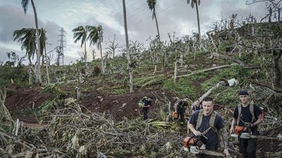 Ravaged forest threatens Mayotte's biodiversity, economy and food security