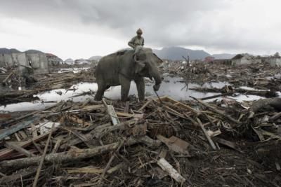 20Th Anniversary Of Indian Ocean Tsunami: Remembering The Victims