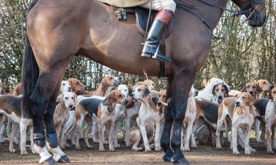 Calls for Labour to honour pledge to toughen anti-hunt laws