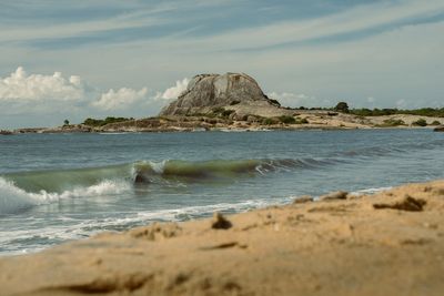 20 years since the Boxing Day tsunami: How Sri Lanka’s Yala National Park has recovered – and thrived