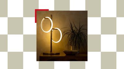 I Found a Detachable Ring Light Lamp That Looks Like Modern Art — And It’s Only $80 at Target