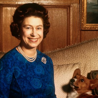 Queen Elizabeth Revealed Her Corgis Destroyed Some Royal Mementos in Auctioned-Off Letter