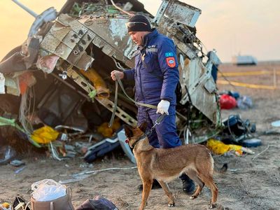 Azerbaijan Airlines crash: was this another military shoot-down of a civil aircraft?