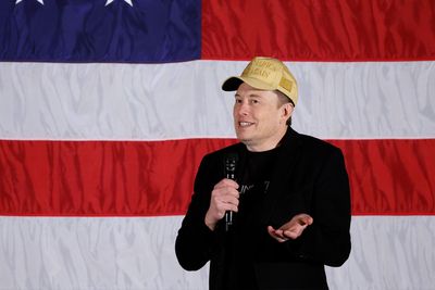 MAGA rips Musk call for foreign workers