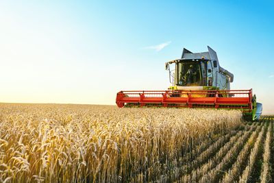 Do Grains and Oilseed Futures Offer Value for 2025?