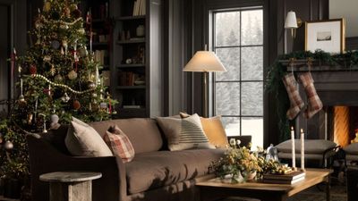 Hit or miss? Experts warn why you should never put a Christmas tree away with the ornaments still on