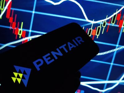 How Is Pentair's Stock Performance Compared to Other Water Stocks?