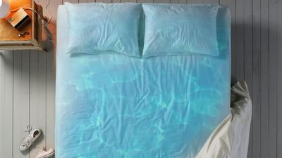 Where did waterbeds go — and should they make a comeback?