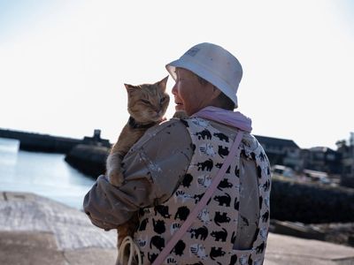 Japan’s ‘cat island’ falls victim to demographic crisis