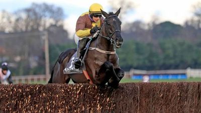 Savills Chase Runners & Trends For Leopardstown