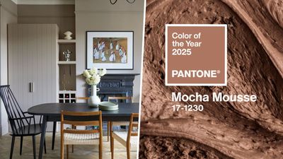 Pantone’s Mocha Mousse is getting mixed reviews – but as a color editor I think it’s the perfect kitchen color to try in 2025