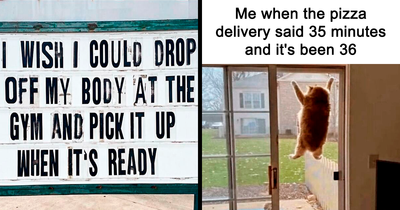 50 Hilarious Memes That Capture The Frustrations Of Dieting And Weight Loss