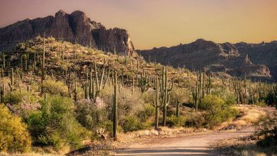 You can go to national parks for free on these days in 2025