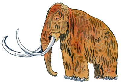 When did woolly mammoths go extinct? Try our kids’ quiz