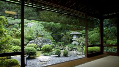 Small Japanese garden ideas – 15 planting, landscaping and color palette suggestions for zen-inspired plots