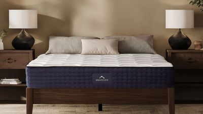 Are DreamCloud mattresses non-toxic? We take a closer look