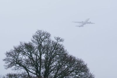 Thick fog continues to cause flight disruption at some of UK’s busiest airports