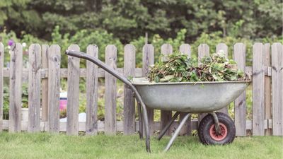 Wheelbarrow uses – 7 ways to use this valuable garden tool in your backyard