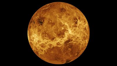 Year of Venus: How to see the 'evening star' at its best in 2025