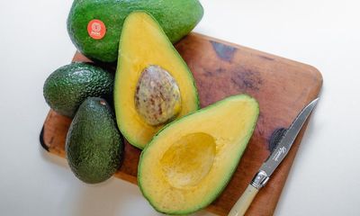 Extraordinary size and staying power: the unlikely origin of a mighty Australian avocado