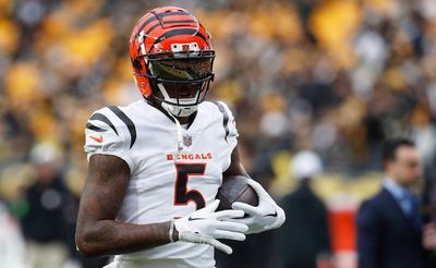 Cincinnati Bengals WR Tee Higgins Scores Game Winning OT TD