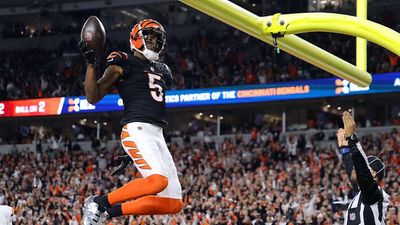 Tee Higgins Put the Bengals on His Back to Keep Playoff Hopes Alive