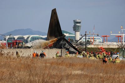 At least 85 people killed as plane veers off runway and catches fire at South Korean airport