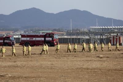 Bird Strike Suspected In South Korean Airplane Crash-Landing