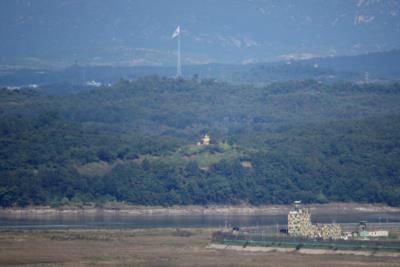 South Korean Airliner Crashes After Mayday Call Due To Birds