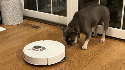 Xiaomi X20 Pro robot vacuum review: a brilliant budget buy