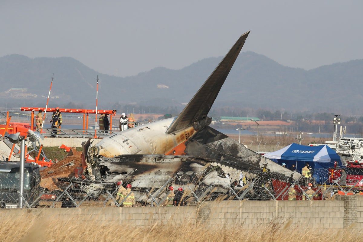 South Korea plane crash: Everything we know about…