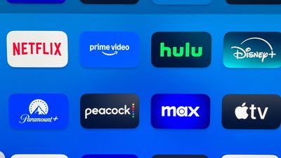 This is the one streaming service that won 2024