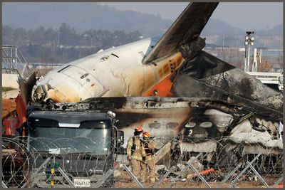 WATCH: South Korea Plane Carrying 181 Veers Off Course, Crashes Into Concrete Wall and Bursts Into Flames