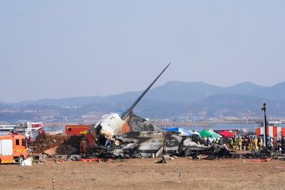 King and Queen ‘profoundly saddened’ by South Korea plane crash that killed 179