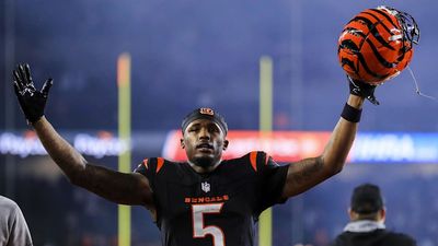 Tee Higgins Gave a Perfect Quote About Possibly Playing Last Game at Home for Bengals