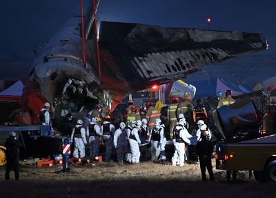 Why did the South Korean Jeju Air flight crash, killing 179? Experts question bird strike claims