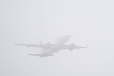 What are passengers entitled to if their flight has been affected by fog?